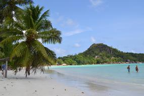 Praslin Island Seychelles scenery