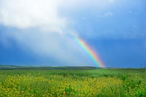 Rainbow Green Field Blue Sky