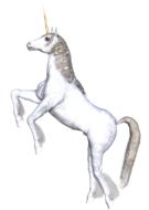unicorn fantasy fairy tale white