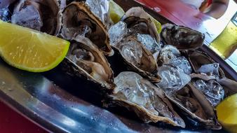 Juicy mussels with lemon