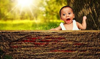 Cute happy asian child boy in garden