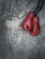 Boxing Gloves Wall Box