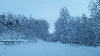 Winter Landscapes Landscape