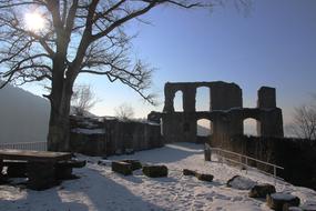 Castle Ruin tree snow