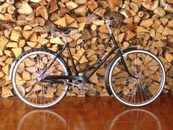Transport bike stacks firewood
