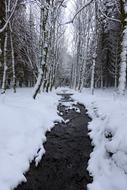 Snow White Winter Landscape