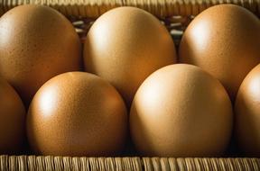 delicious fresh eggs