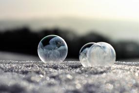 Soap Bubbles Frozen Frost