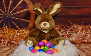 Easter Bunny Egg Colored