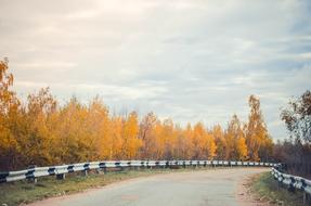 Road Autumn Nature