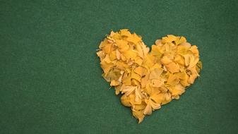 Heart Ginko Green