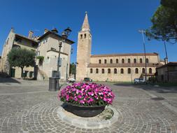 Degree Basilica Piazza