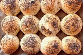 Rolls Brötchen Bakery