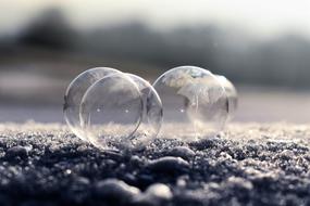 Soap Bubble Frozen