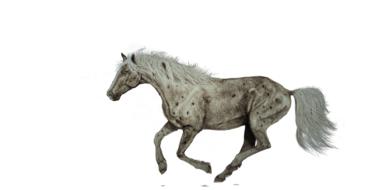 painting art of horse running