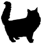 Black silhouette of the beautiful and cute, fluffy cat, at white background, clipart