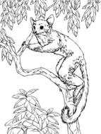 Black and white drawing of the cute and beautiful animal baby on the branches with leaves