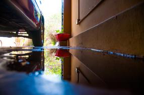 Puddle Photography Life