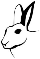 Black and white drawing of the beautiful bunny, at white background, clipart