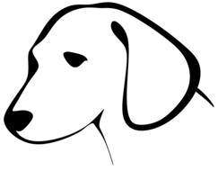 canine dog head drawing