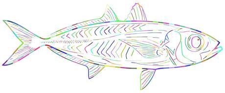 Colorful drawing of the fish, at white background, clipart