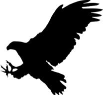 clipart of bird eagle animal