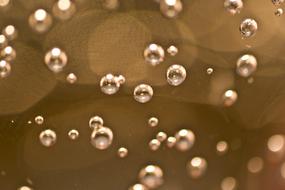 Vesicle Water Air Bubbles In The