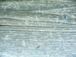 Weathered Wood Grain