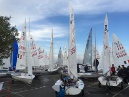Sail Sea