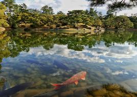 Japan Japanese Garden