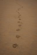 footprints in the sand landscape