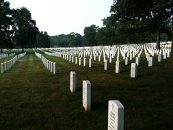 Arlington Graves