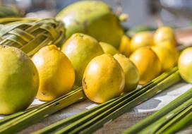 tropical yellow lemons