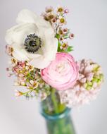 Flowers Bouquet Bokeh
