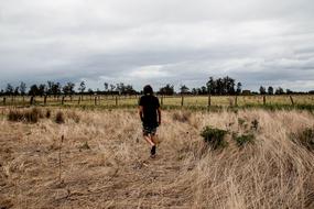 Farm Grass Walk person