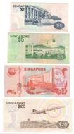 Singapore Bird Notes drawing