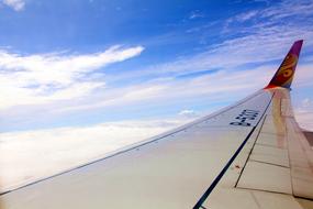 Aircraft Wing Blue