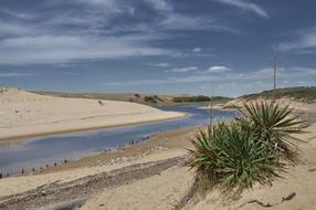 Sand Dunes Atlantic Coast