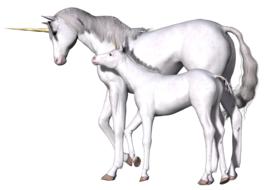 unicorn fantasy fairy tale white