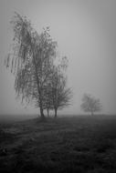 Burnout Mourning Depression