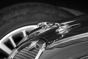 Jaguar Expensive Car Brand