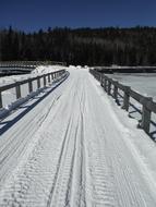 Canada Snowmobiling Winter