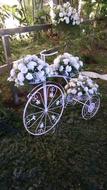 bicycle with flowers decoration