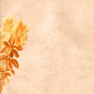 background scrapbooking paper orange flowers