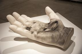 Vancouver Art Gallary Superflat