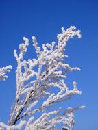 Winter Cold Ice