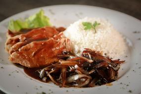 meat platter with rice