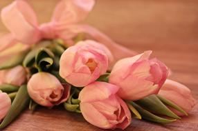 Tulips pink Flowers wood table