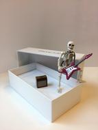 Skeleton Box Unpacking