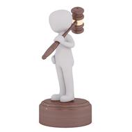 professions auction hammer bids